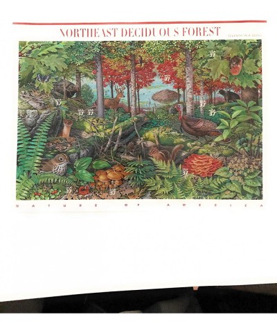 Northeast Deciduous Forest Pane of Ten 37 Cent Stamps Scott 3899 $17.04 Collectible Postage Stamps