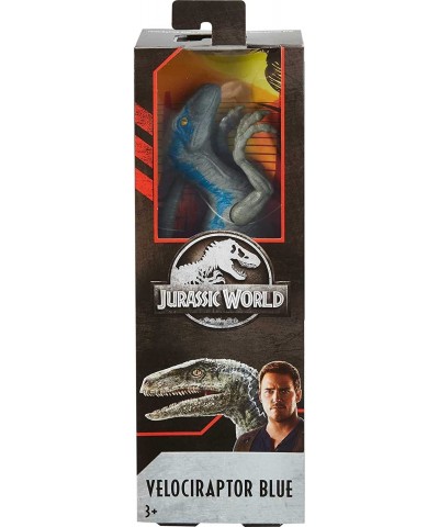 Jurassic World Large Basic Velociraptor Blue $32.50 Action Figures