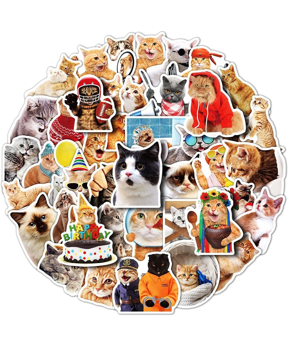 Cat Stickers 50PCS Vinyl Waterproof Funny Stickers for Laptop Skateboard Water Bottles Computer Phone Guitar Travel Luggage S...