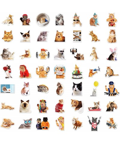 Cat Stickers 50PCS Vinyl Waterproof Funny Stickers for Laptop Skateboard Water Bottles Computer Phone Guitar Travel Luggage S...