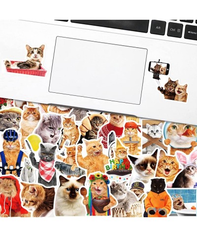 Cat Stickers 50PCS Vinyl Waterproof Funny Stickers for Laptop Skateboard Water Bottles Computer Phone Guitar Travel Luggage S...