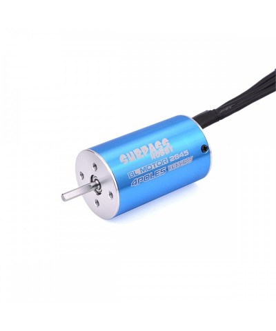 Blue 2845 5900KV Brushless Motor Shaft 3.175mm for 1/12 1/14 RC Car $44.30 Remote & App Controlled Vehicles