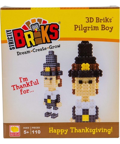 Building Bricks & Blocks Set - 3D Briks Pilgrim Boy - Thanksgiving Building Construction Toy - 100% Compatible with All Major...