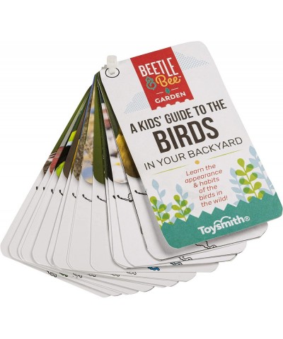 Beetle & Bee Little Birder Set A Kid's Guide to Birds $44.78 Nature Exploration Toys