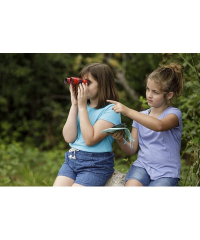 Beetle & Bee Little Birder Set A Kid's Guide to Birds $44.78 Nature Exploration Toys