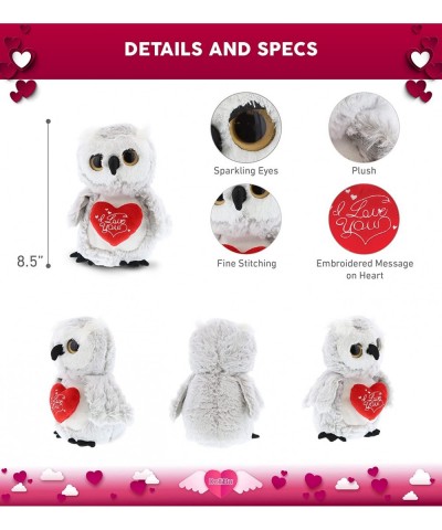 I Love You Plush Big Eye Owl Bird – Cute Stuffed Animal with Heart Message and Name Personalization for Valentines Anniversar...