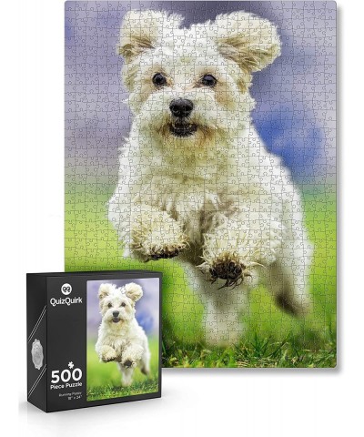 QuizQuirk 500 Piece Puzzle Jumping Dog Jigsaw Puzzle for Adults/Teens (Puzzle Saver Kit Included) $27.28 Jigsaw Puzzles