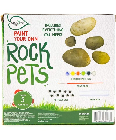 Paint Your Own Rock Pets by Horizon Group USA 6 Colors Paint Brush Wiggly Eyes and Glue Included Multicolor $16.35 Kids' Draw...