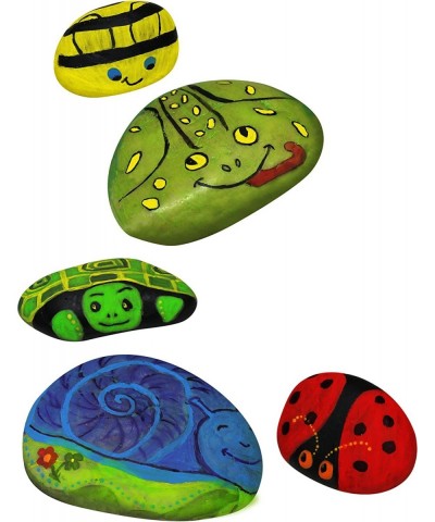 Paint Your Own Rock Pets by Horizon Group USA 6 Colors Paint Brush Wiggly Eyes and Glue Included Multicolor $16.35 Kids' Draw...