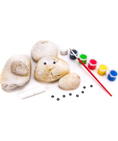 Paint Your Own Rock Pets by Horizon Group USA 6 Colors Paint Brush Wiggly Eyes and Glue Included Multicolor $16.35 Kids' Draw...