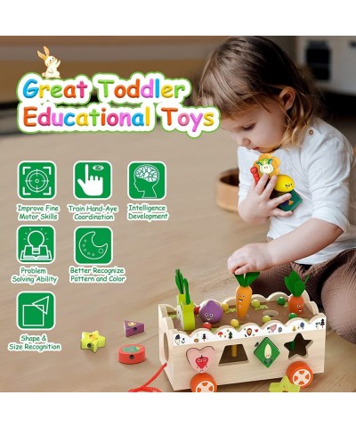 Toddler Wooden Montessori Toys Shape Educational Learning for Girls Boys 1 2 3 4 Year Old Wood Preschool Sorting Toys for Bab...