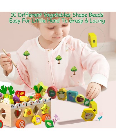 Toddler Wooden Montessori Toys Shape Educational Learning for Girls Boys 1 2 3 4 Year Old Wood Preschool Sorting Toys for Bab...