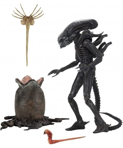 Aliens 40TH Anniversary Big CHAP Ultimate 7IN Action Figure $93.24 Action Figures