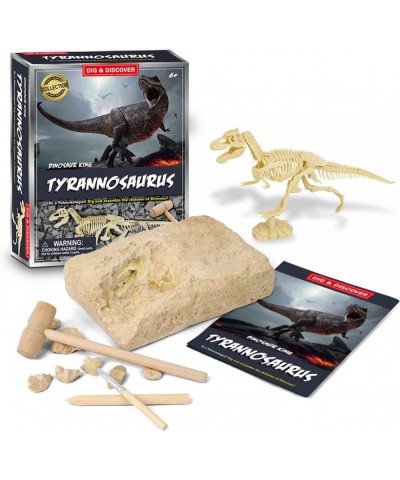 DIY Dinosaur Excavation Kit 3D Skeleton Dinosaur Excavation Kit Digging Dinosaur Archeology Kit Dino Fossil Kit for Kids Dino...