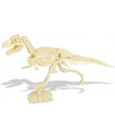 DIY Dinosaur Excavation Kit 3D Skeleton Dinosaur Excavation Kit Digging Dinosaur Archeology Kit Dino Fossil Kit for Kids Dino...