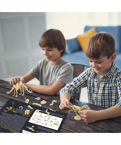 DIY Dinosaur Excavation Kit 3D Skeleton Dinosaur Excavation Kit Digging Dinosaur Archeology Kit Dino Fossil Kit for Kids Dino...