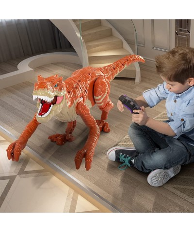 Remote Control Dinosaur Toy for Kids Rc Simulated T-Rex Dinosaur Toy with Water Mist Spray Light and Sounds Real Electric Wal...