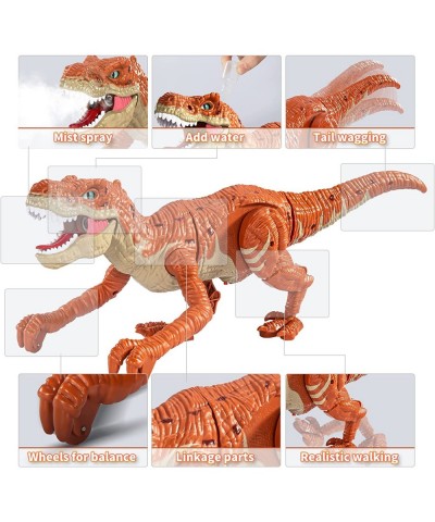 Remote Control Dinosaur Toy for Kids Rc Simulated T-Rex Dinosaur Toy with Water Mist Spray Light and Sounds Real Electric Wal...