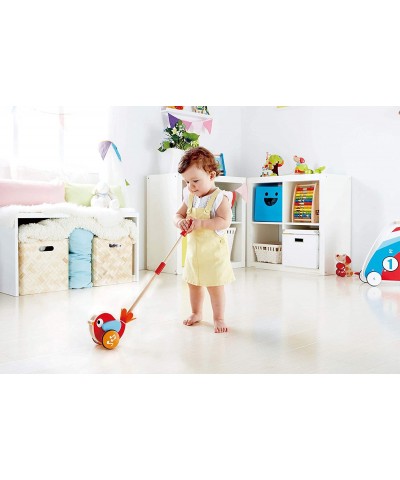 Lilly Musical Push Along | Wooden Push Along Baby Walking Bird Playful Kids Toy with Detachable Stick Multicolor 22.05 Inch (...