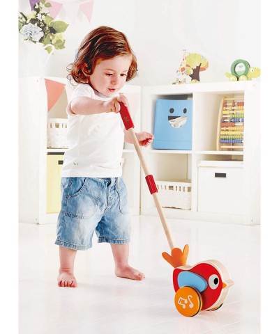 Lilly Musical Push Along | Wooden Push Along Baby Walking Bird Playful Kids Toy with Detachable Stick Multicolor 22.05 Inch (...