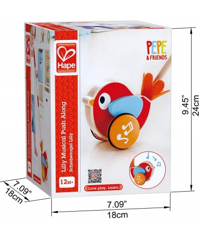 Lilly Musical Push Along | Wooden Push Along Baby Walking Bird Playful Kids Toy with Detachable Stick Multicolor 22.05 Inch (...