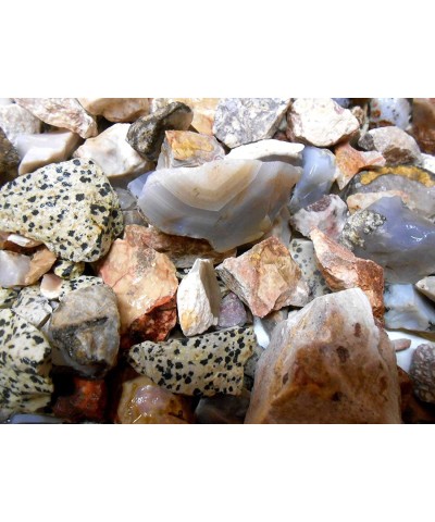 Rock Tumbler Refill Rough Mexico Agates and Jasper Mix 1 LB Mied Colors $41.32 Kids' Rock Tumblers