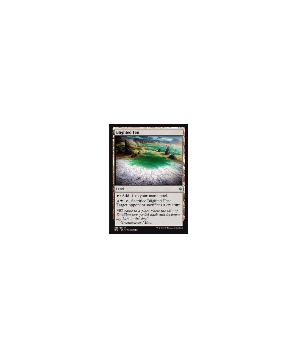 Blighted Fen (230/274) - Battle for Zendikar $10.47 Magic Kits & Accessories