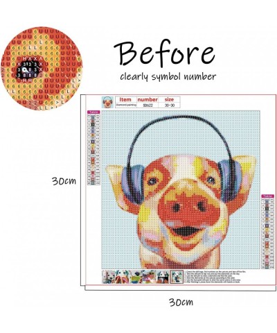 Pig 5D Diamond Painting Art Kit for Adults DIY Crystal Craft Gift for Christmas 30x30 cm USDGIP $14.29 Craft Kits