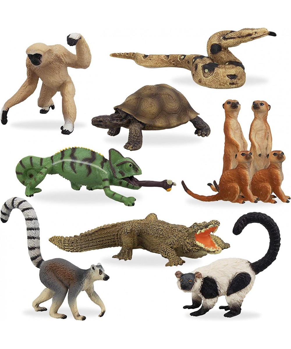 11PCS Madagascar Jungle Animals Figurines Toy with Meerkat Lemur Chameleon Crocodile-Jungle Forest Zoo Animal Figures Set Chr...