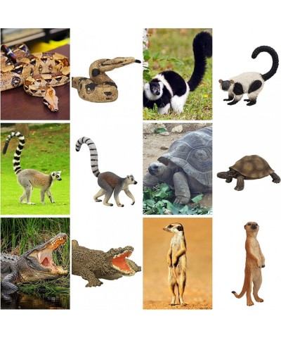 11PCS Madagascar Jungle Animals Figurines Toy with Meerkat Lemur Chameleon Crocodile-Jungle Forest Zoo Animal Figures Set Chr...