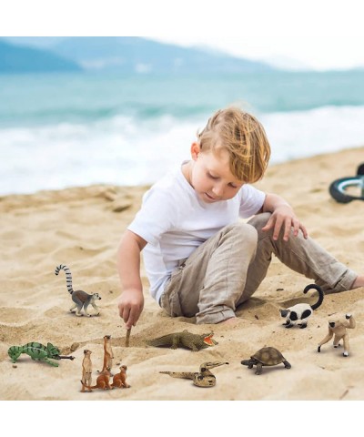 11PCS Madagascar Jungle Animals Figurines Toy with Meerkat Lemur Chameleon Crocodile-Jungle Forest Zoo Animal Figures Set Chr...