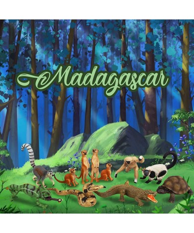 11PCS Madagascar Jungle Animals Figurines Toy with Meerkat Lemur Chameleon Crocodile-Jungle Forest Zoo Animal Figures Set Chr...