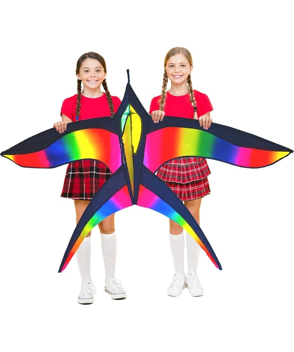 Giant Rainbow Delta Kite | Bird Kite for Kids Ages 4-8-12 - Large Rainbow Beach Kite for Adults - Stunt Kite for Kids - Easy ...