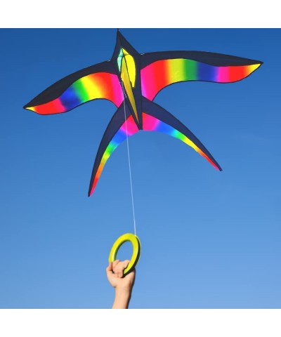 Giant Rainbow Delta Kite | Bird Kite for Kids Ages 4-8-12 - Large Rainbow Beach Kite for Adults - Stunt Kite for Kids - Easy ...