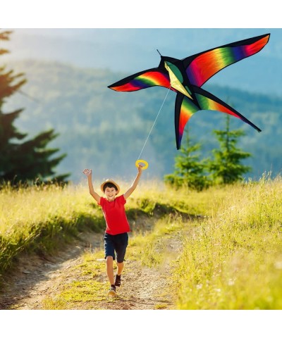 Giant Rainbow Delta Kite | Bird Kite for Kids Ages 4-8-12 - Large Rainbow Beach Kite for Adults - Stunt Kite for Kids - Easy ...