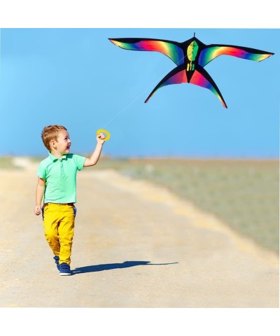 Giant Rainbow Delta Kite | Bird Kite for Kids Ages 4-8-12 - Large Rainbow Beach Kite for Adults - Stunt Kite for Kids - Easy ...