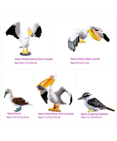 Bird Toys - 5pcs Realistic Birds Animal Figurines Toy Set - Includes Ostrich Kingfisher Pelican - Educational Learning Toys B...