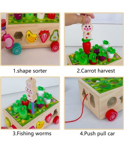 Wooden Montessori Toys for Toddlers 2 3 4 Years Old Carrot Harvest Shape Sorting Toys Push Car Game Activities Cubes Developm...