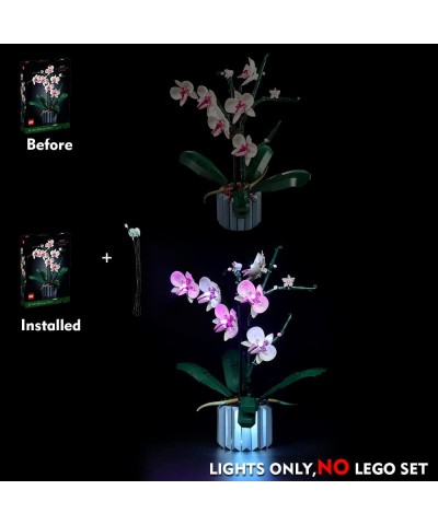 LED Light Kit for Lego Orchid 10311 Plant Decor Building Set（Lego Not Included Lighting Kit Compatible with Orchid 10311 Acce...