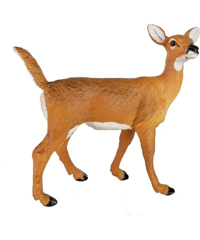 Safari Ltd Wild Safari North American Wildlife Whitetail Doe $24.00 Kids' Play Animal Figures