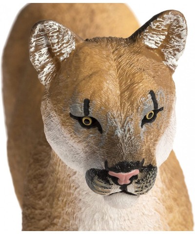 100105 Wildlife Wonders Florida Panther Minature $27.25 Kids' Play Animal Figures