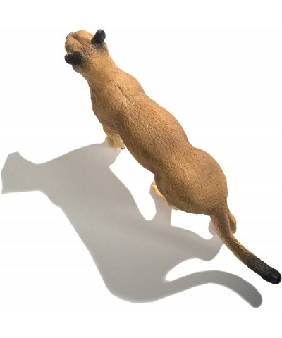 100105 Wildlife Wonders Florida Panther Minature $27.25 Kids' Play Animal Figures