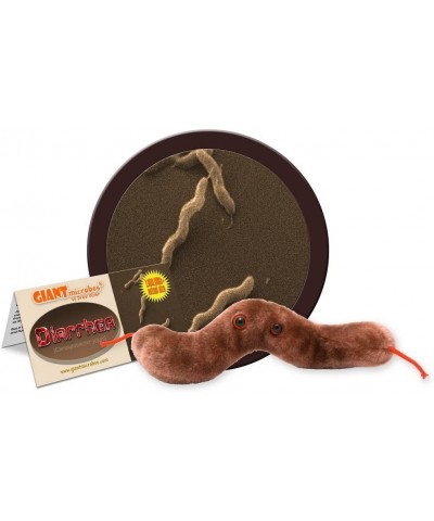 GIANTmicrobes Diarrhea Plush - Learn About Digestive Health Campylobacter Bacteria and How it Affects The Body Humorous Gift ...