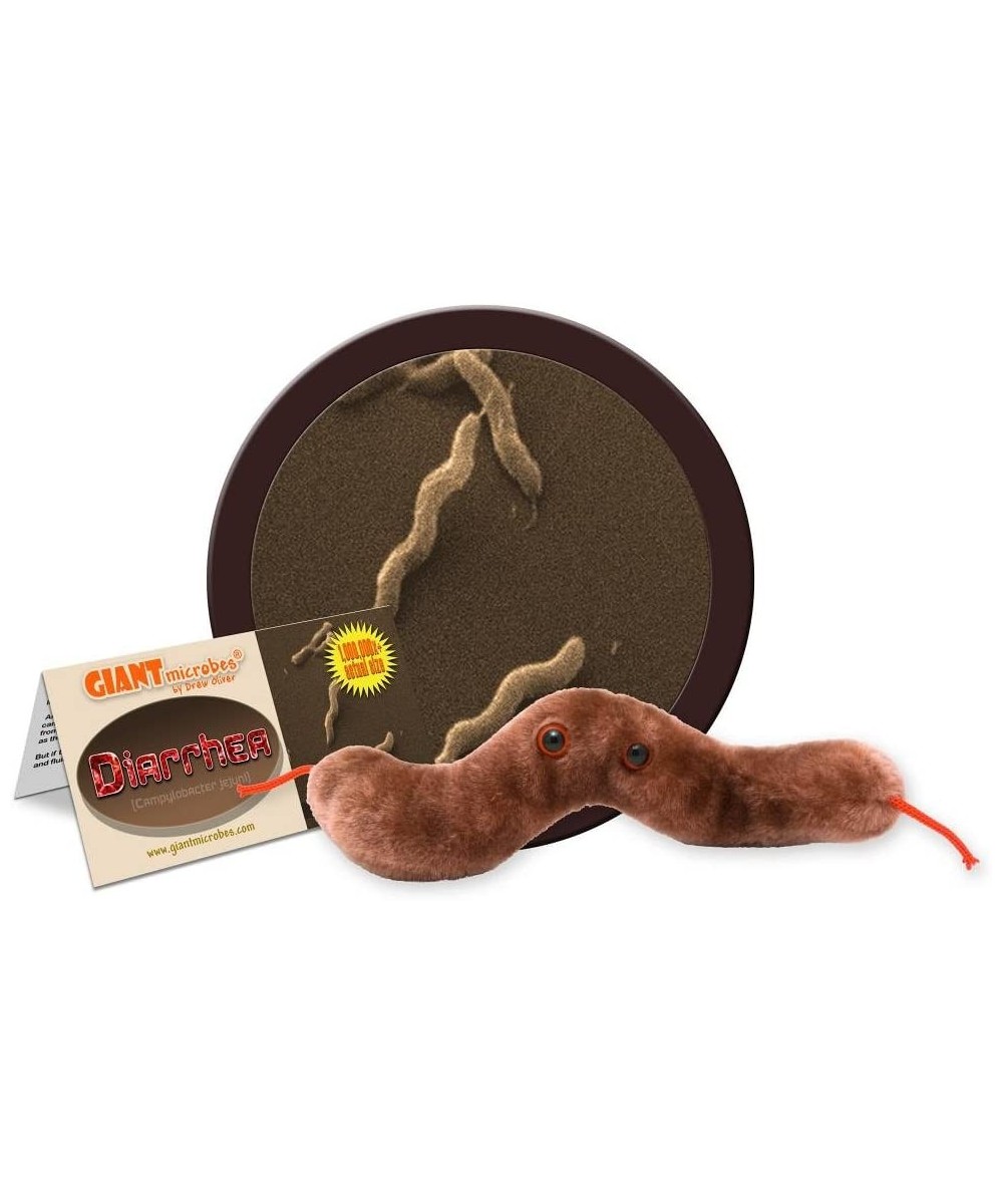 GIANTmicrobes Diarrhea Plush - Learn About Digestive Health Campylobacter Bacteria and How it Affects The Body Humorous Gift ...