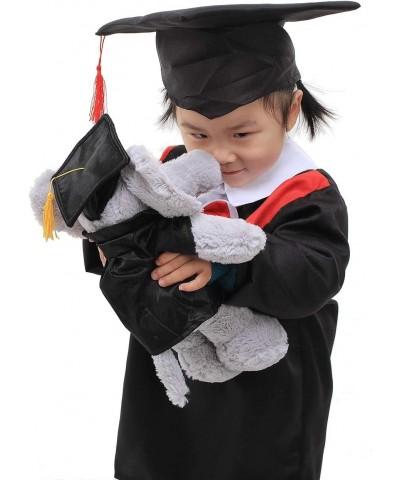 Squirrel Plush Stuffed Animal Toys Present Gifts for Graduation Day Personalized Text Name or Your School Logo on Gown Best f...