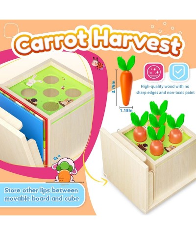 4 in 1 Educational Montessori Toys for 1 2 Year Old Include Object Permanence Box Magnetic Worm Game Carrot Harvest Toy Coin ...