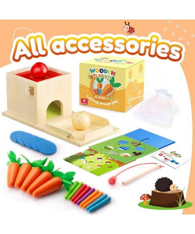 4 in 1 Educational Montessori Toys for 1 2 Year Old Include Object Permanence Box Magnetic Worm Game Carrot Harvest Toy Coin ...