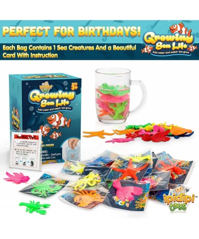 Water Growing Sea Creatures - Under The Sea Animals - 25 Pack - Individually Wrapped Favors - Expandable Animals - Party Supp...