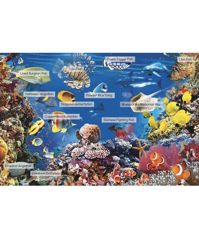 Jigsaw Puzzles for Adults 1000 Piece Ocean Scene with Fish Adult Jigsaw Puzzle for Kids and Teens too a Cool Colorful Hard Ji...