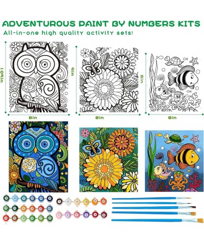 3 Pack Paint by Numbers for Kids Ages 8-12 Pre-Printed Acrylic Oil Painting Includes (8x10 8x9 8x8 inch) Framed Canvas with 3...